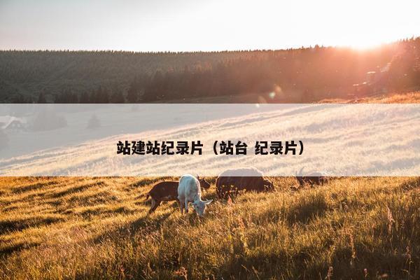 站建站纪录片（站台 纪录片）