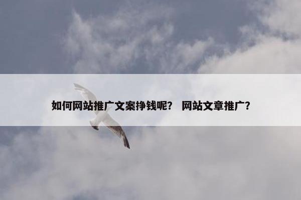 如何网站推广文案挣钱呢？ 网站文章推广？