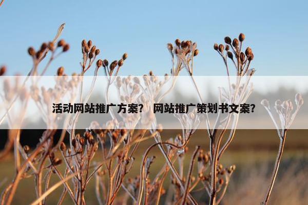 活动网站推广方案？ 网站推广策划书文案？
