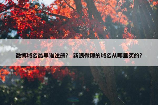 微博域名最早谁注册？ 新浪微博的域名从哪里买的？