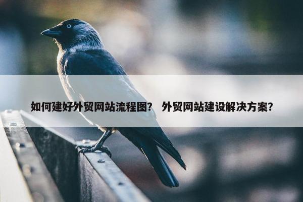 如何建好外贸网站流程图？ 外贸网站建设解决方案？