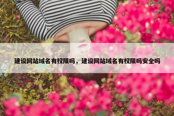 建设网站域名有权限吗，建设网站域名有权限吗安全吗