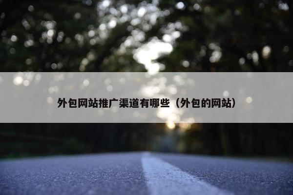 外包网站推广渠道有哪些（外包的网站）
