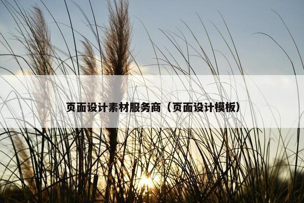 页面设计素材服务商（页面设计模板）
