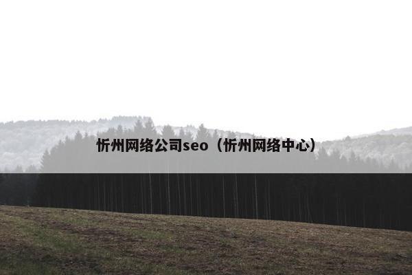 忻州网络公司seo（忻州网络中心）