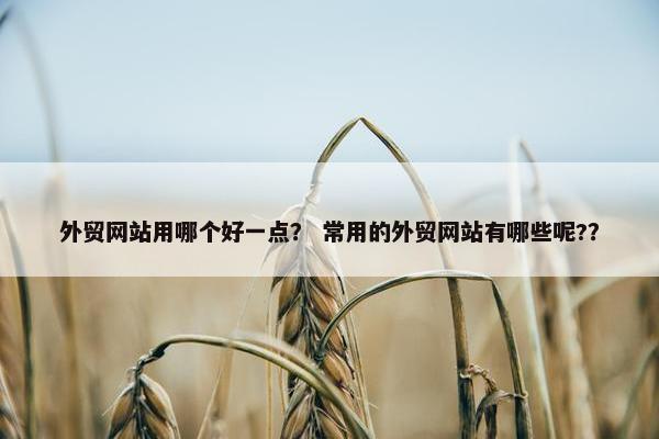 外贸网站用哪个好一点？ 常用的外贸网站有哪些呢?？