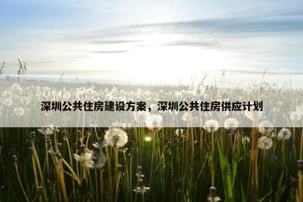 深圳公共住房建设方案，深圳公共住房供应计划