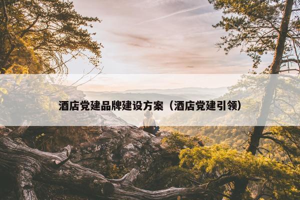 酒店党建品牌建设方案（酒店党建引领）