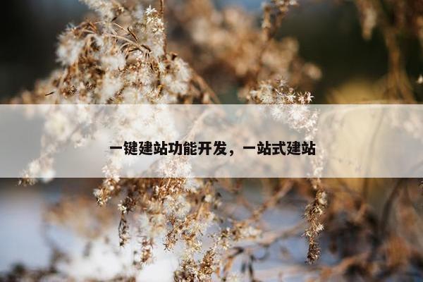 一键建站功能开发，一站式建站