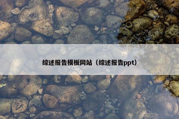 综述报告模板网站（综述报告ppt）