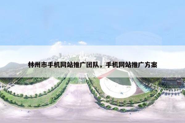 林州市手机网站推广团队，手机网站推广方案