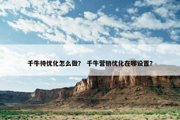 千牛待优化怎么做？ 千牛营销优化在哪设置？