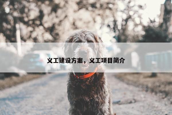 义工建设方案，义工项目简介