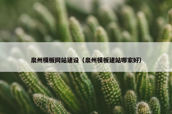 泉州模板网站建设（泉州模板建站哪家好）