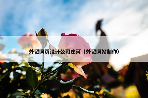 外贸网页设计公司庄河（外贸网站制作）