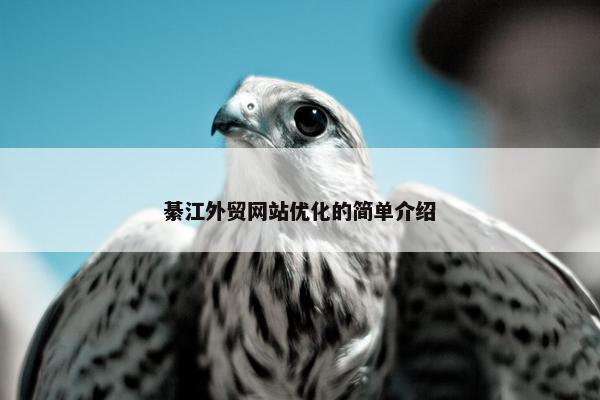 綦江外贸网站优化的简单介绍
