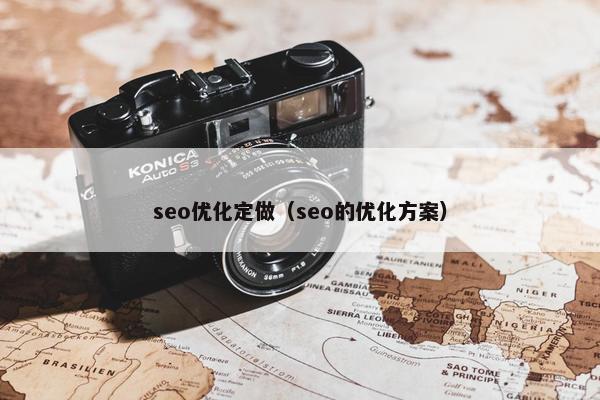 seo优化定做（seo的优化方案）