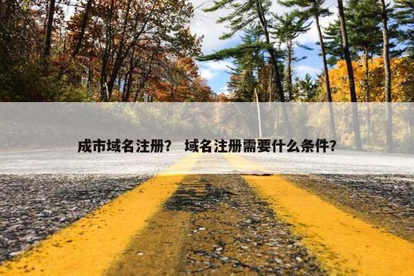 成市域名注册？ 域名注册需要什么条件？