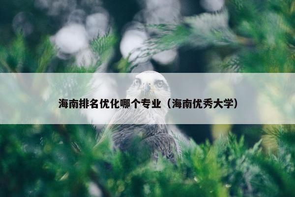 海南排名优化哪个专业（海南优秀大学）