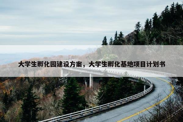 大学生孵化园建设方案，大学生孵化基地项目计划书