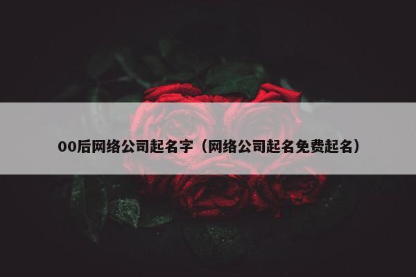 00后网络公司起名字（网络公司起名免费起名）