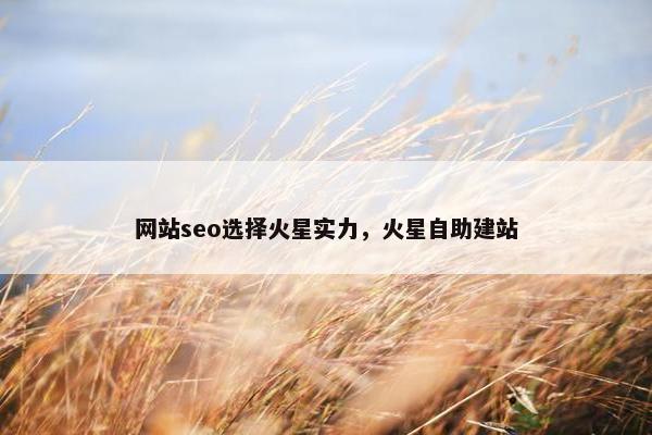 网站seo选择火星实力，火星自助建站