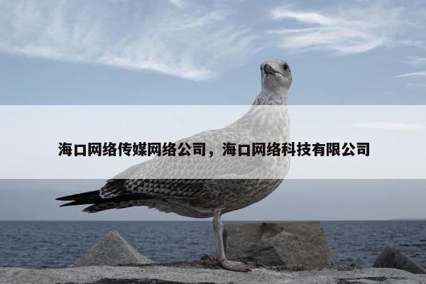 海口网络传媒网络公司，海口网络科技有限公司
