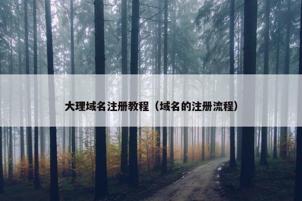 大理域名注册教程（域名的注册流程）