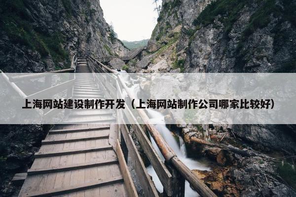 上海网站建设制作开发（上海网站制作公司哪家比较好）