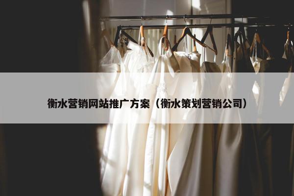 衡水营销网站推广方案（衡水策划营销公司）