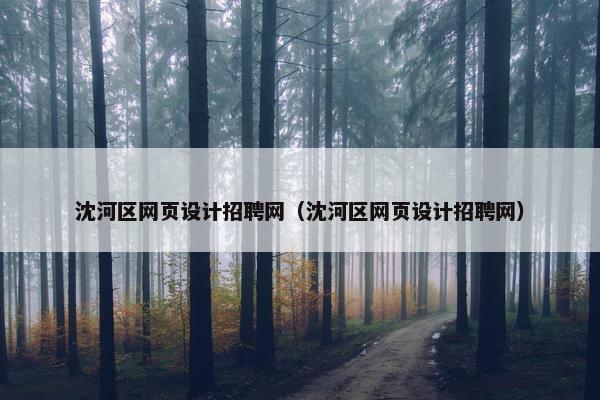 沈河区网页设计招聘网（沈河区网页设计招聘网）