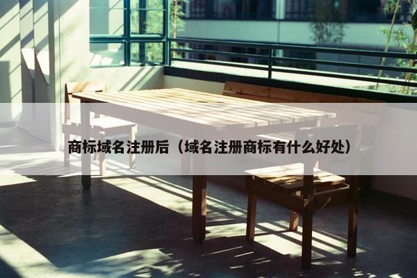 商标域名注册后（域名注册商标有什么好处）