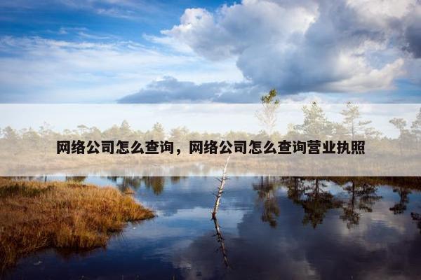 网络公司怎么查询，网络公司怎么查询营业执照