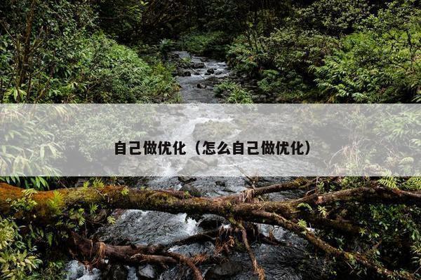 自己做优化（怎么自己做优化）