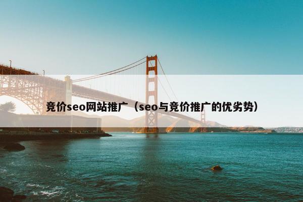 竞价seo网站推广（seo与竞价推广的优劣势）