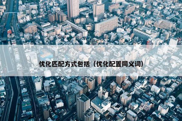 优化匹配方式包括（优化配置同义词）