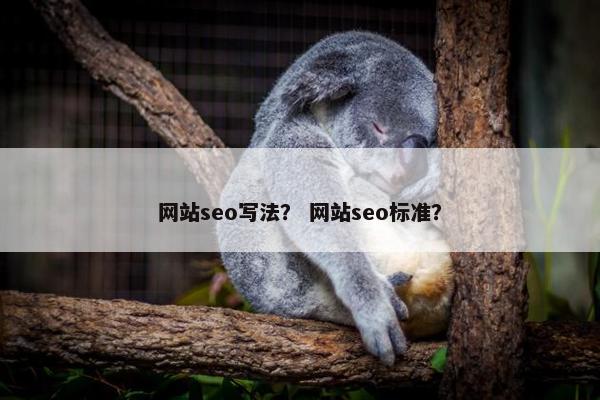 网站seo写法？ 网站seo标准？
