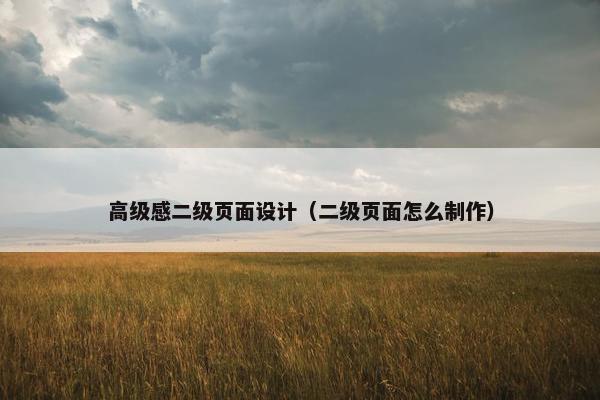 高级感二级页面设计（二级页面怎么制作）