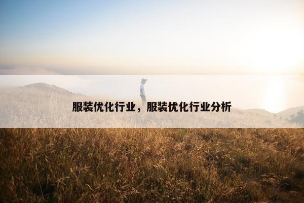 服装优化行业，服装优化行业分析