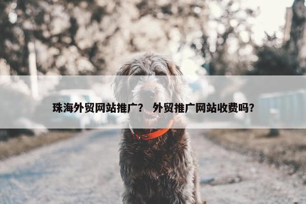 珠海外贸网站推广？ 外贸推广网站收费吗？