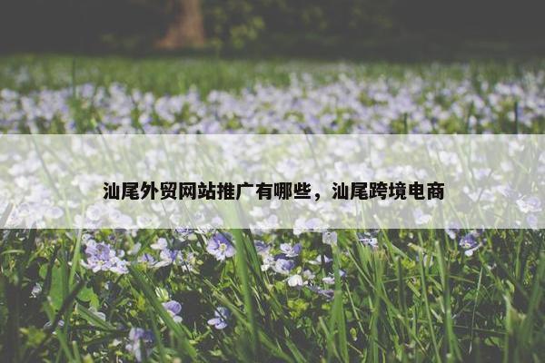 汕尾外贸网站推广有哪些，汕尾跨境电商