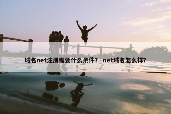 域名net注册需要什么条件？ net域名怎么样？