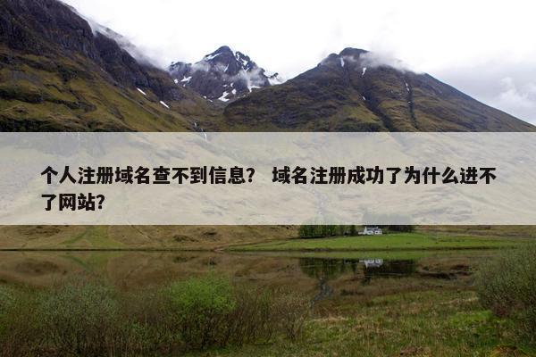个人注册域名查不到信息？ 域名注册成功了为什么进不了网站？