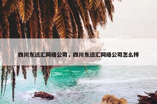 四川东远汇网络公司，四川东远汇网络公司怎么样