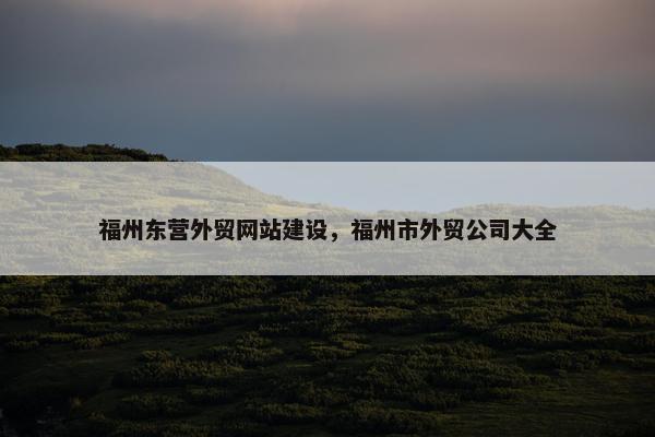 福州东营外贸网站建设，福州市外贸公司大全