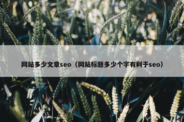 网站多少文章seo（网站标题多少个字有利于seo）