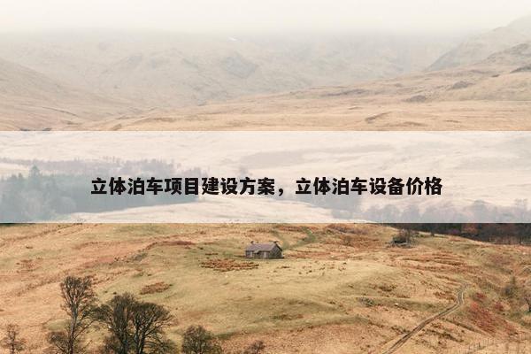 立体泊车项目建设方案，立体泊车设备价格