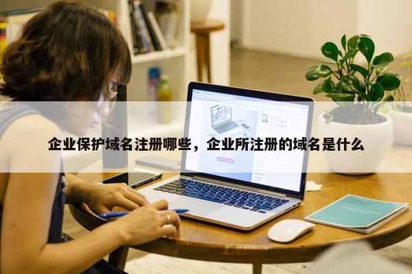 企业保护域名注册哪些，企业所注册的域名是什么