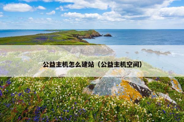 公益主机怎么建站（公益主机空间）