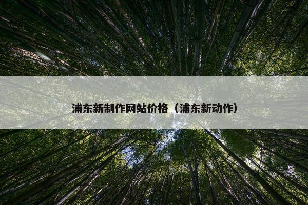 浦东新制作网站价格（浦东新动作）